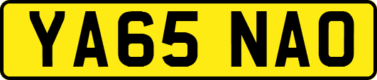 YA65NAO