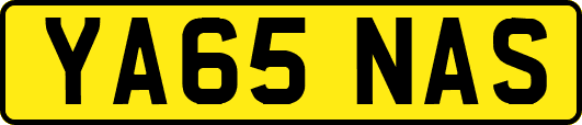 YA65NAS