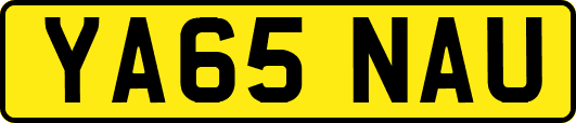 YA65NAU