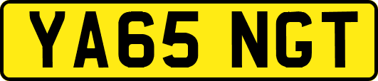 YA65NGT