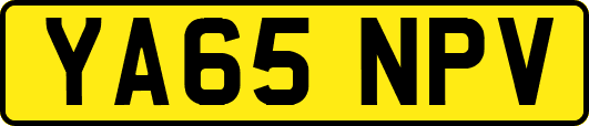 YA65NPV