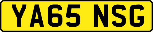 YA65NSG