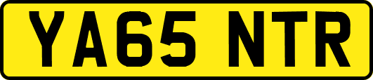 YA65NTR
