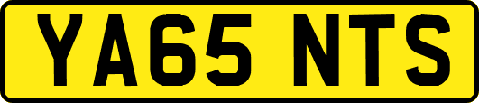 YA65NTS