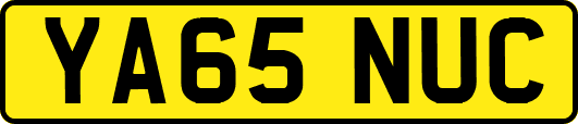 YA65NUC