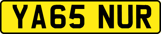 YA65NUR