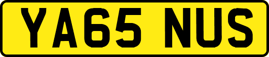 YA65NUS