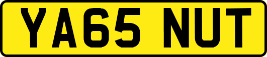 YA65NUT