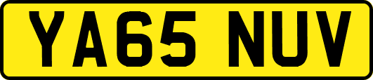 YA65NUV