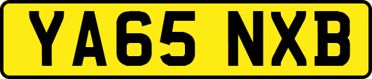 YA65NXB