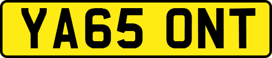 YA65ONT