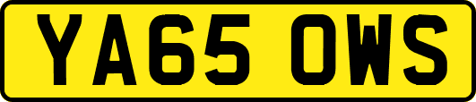 YA65OWS
