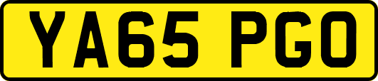YA65PGO