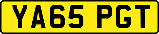 YA65PGT