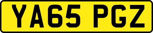 YA65PGZ