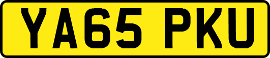 YA65PKU