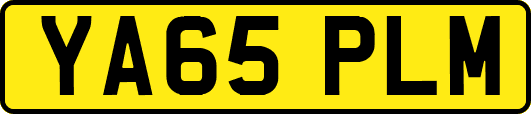 YA65PLM