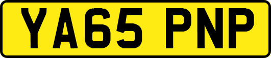 YA65PNP