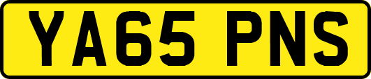 YA65PNS