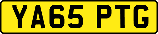 YA65PTG