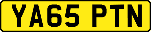YA65PTN
