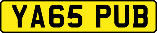 YA65PUB