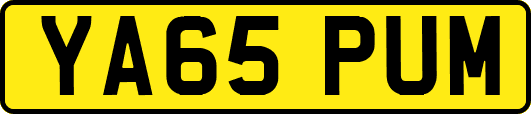 YA65PUM