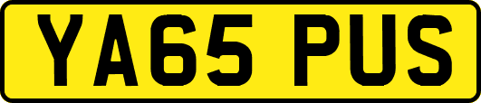 YA65PUS