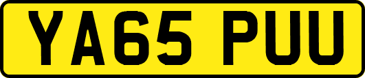 YA65PUU