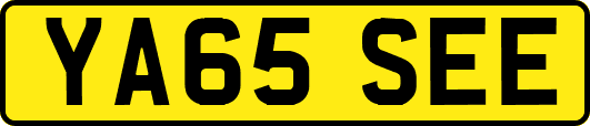 YA65SEE