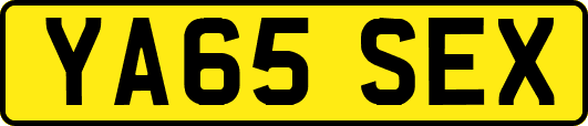 YA65SEX