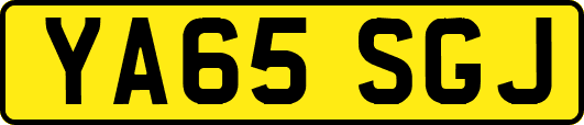 YA65SGJ