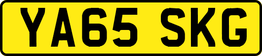 YA65SKG