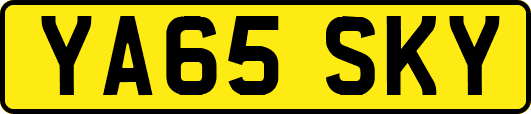 YA65SKY