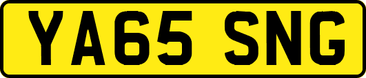 YA65SNG