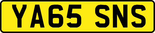 YA65SNS