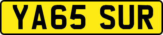 YA65SUR