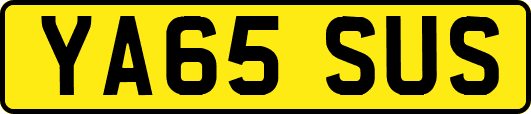 YA65SUS