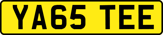 YA65TEE