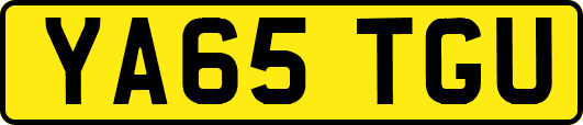YA65TGU