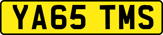 YA65TMS
