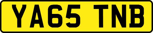 YA65TNB