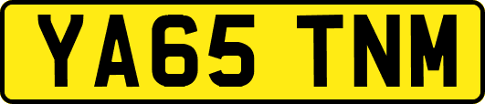 YA65TNM