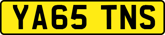 YA65TNS