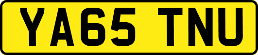 YA65TNU