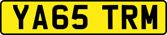 YA65TRM