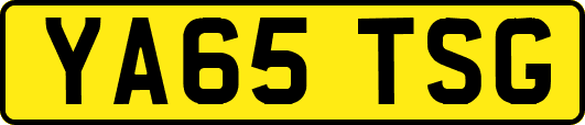 YA65TSG