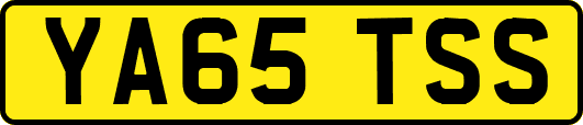 YA65TSS