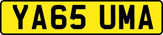 YA65UMA