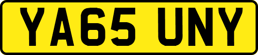 YA65UNY
